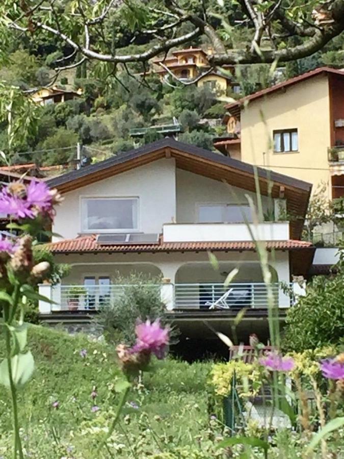 Villa 3 Olivi - Lenno By Lovecomo Exterior photo